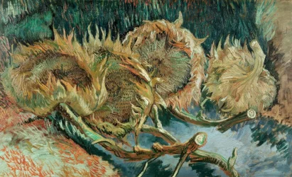 Four Faded Sunflowers