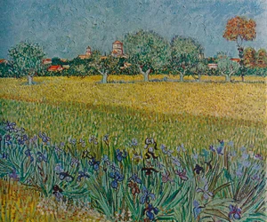 View of Ales with Irises in Bloom