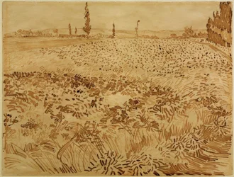 Wheat Field