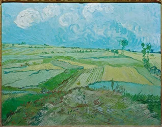 Wheat Fields in Auvers with Rain Clouds