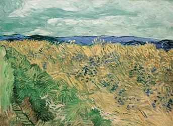 Wheatfield With Cornflowers