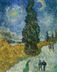 Cypress Path under the Starry Sky