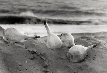 Flasks on the Beach