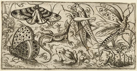 Group of Insects and Animals on a Plain Ground with Grass