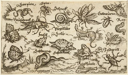 Insects, reptiles, snails, and fish on minimal ground with water in foreground