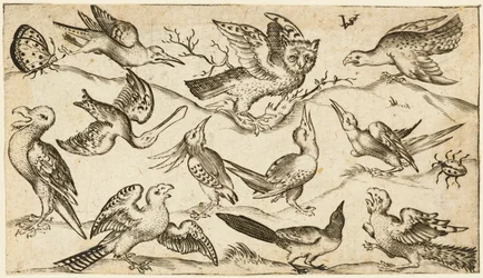 Eleven birds and two insects on minimal ground with owl with wings outstretched sitting on a branch in centre with other birds surrounding and teasing owl, from Douce Ornament Prints Album I, after 1572