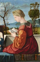 The Virgin Reading
