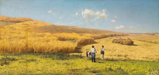 Harvest in the Ukraine