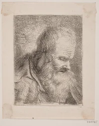 Bearded Old Man, Bust