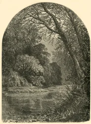 Moss Islands, in the Juniata, 1874