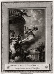 Perdix, the Nephew of Daedalus, Transformed into a Partridge, 1774