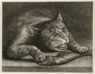 Cat with a Fish
