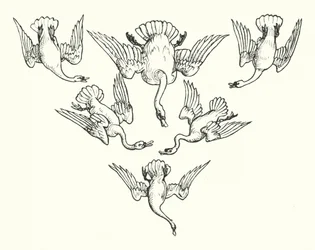 The Six Swans