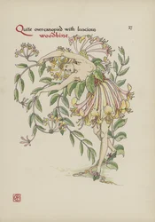 Flowers from Shakespeare