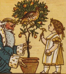 Partridge in a Pear Tree