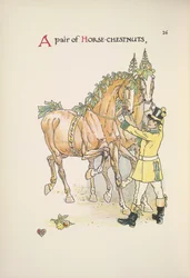 Two horses