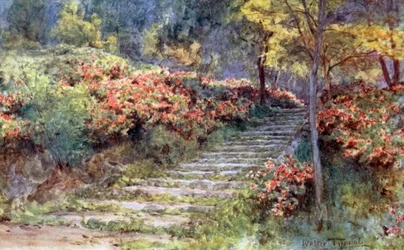 Azaleas by an Old Stairway, Kyoto
