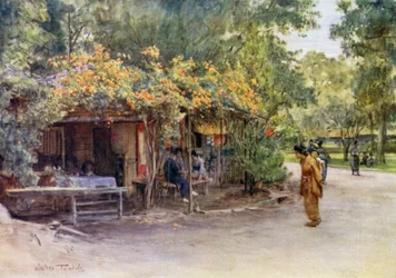 Bignonia-covered Trellis, Maruyama Park, Kyoto