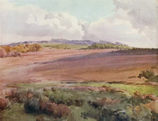 The New Forest: Across Malwood Walk from the Road to Fritham