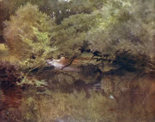 The New Forest: The Lymington River at Royden, near Boldre
