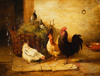 Poultry and Pigeons in an Interior