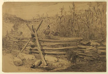 Farm Scene