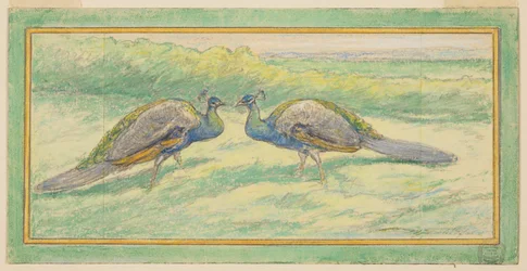 Two Peacocks in a Landscape