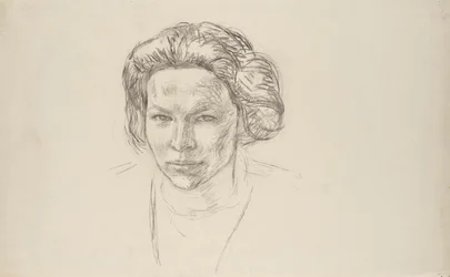 Portrait of a Lady
