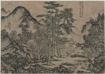 Writing Books under the Pine Trees