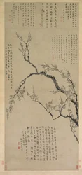 Plum Blossoms