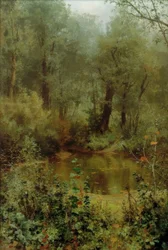 Forest Pond
