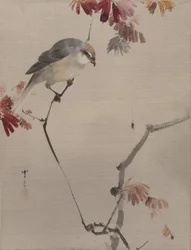 Bird on Branch Watching Spider