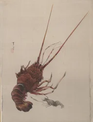 Crayfish