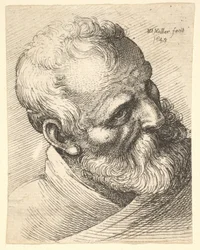 Bearded Old Man with a Tilted Head
