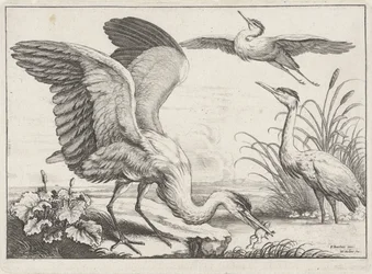 Three Herons