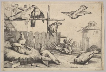 Eight doves