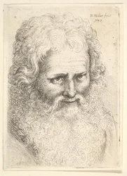 Head of an old man with a large beard