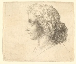 Head of Young Man with Long Hair in Profile to the Left, 1644-52