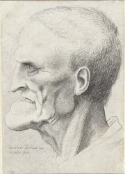 Portrait of an Old Man with Pronounced Chin