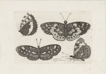 Four Butterflies