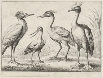 Four Wading Birds