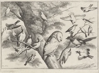 Birds in a Tree