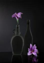 Dark Purple Still Life