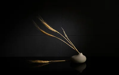 Golden Wheat Still Life