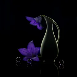 Purple Flowers Dark Elegance