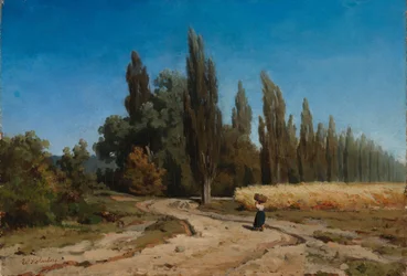 Poplar Alley