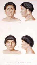 Anthropometric study of two Botocudos indians
