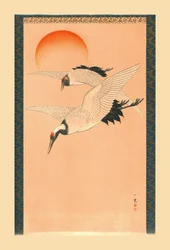 Cranes