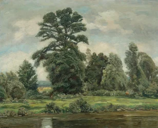 March Landscape