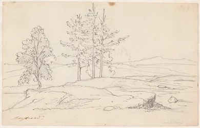 Swedish Landscape